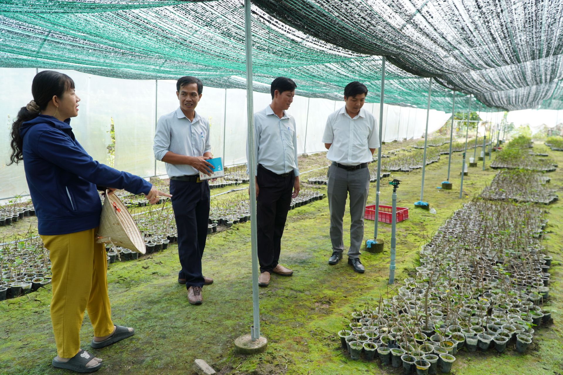 VNPT surveys and pilots smart farming solutions in Tay Ninh