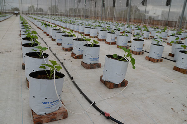 CEO VNPT Technology: 'Tìm mô hình đưa công nghệ vào nông nghiệp hướng đến toàn dân'