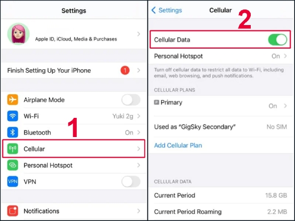 Truy cập Tùy chọn dữ liệu di động trên iPhone