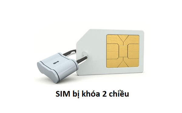 sim và cục sạc điện thoại