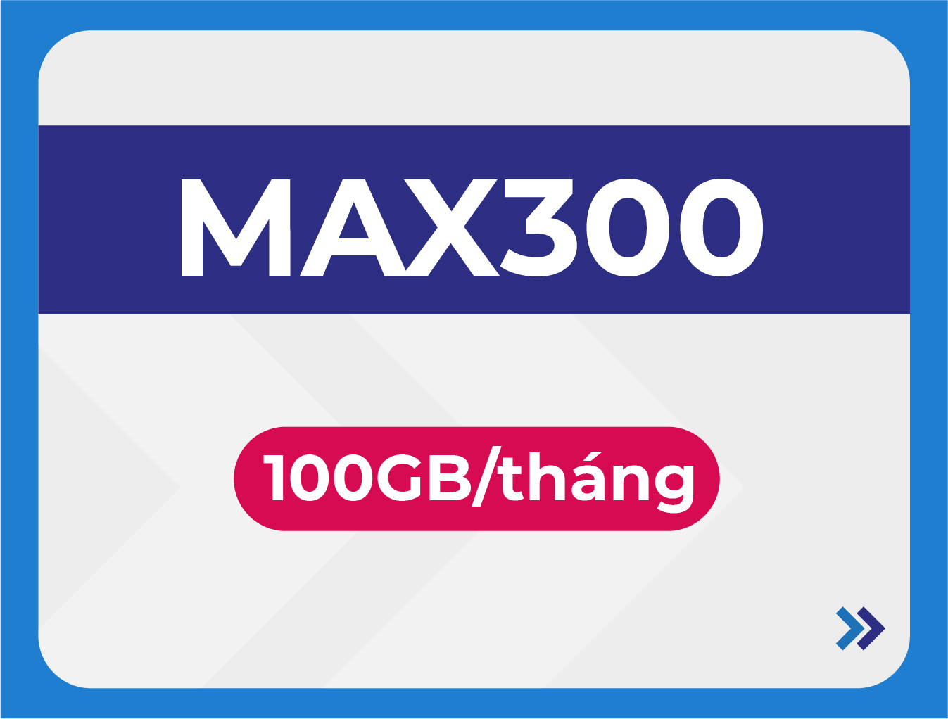 MAX300