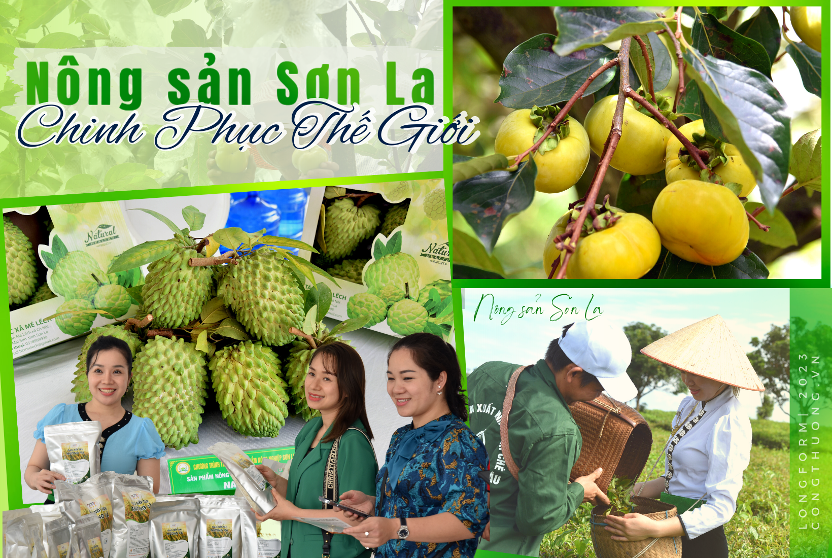 VNPT supports Son La in piloting the Exchange for Traceability of Agricultural Products