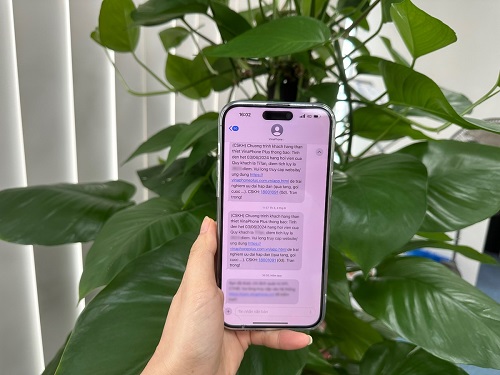 SMS Brandname: Bảo mật thông tin và bảo vệ uy tín trong bối cảnh gia tăng mạo danh thương hiệu