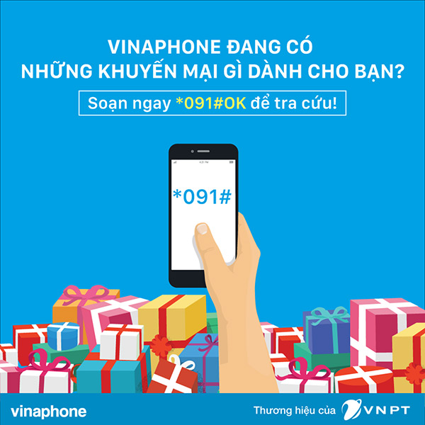 Với cú pháp *091# bạn sẽ kiểm tra được toàn bộ thông tin về thuê bao và gói cước đang sử dụng