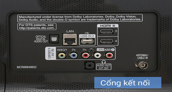 Người dùng cần cắm một đầu dây LAN vào router, một đầu còn lại cắm vào cổng LAN của tivi.