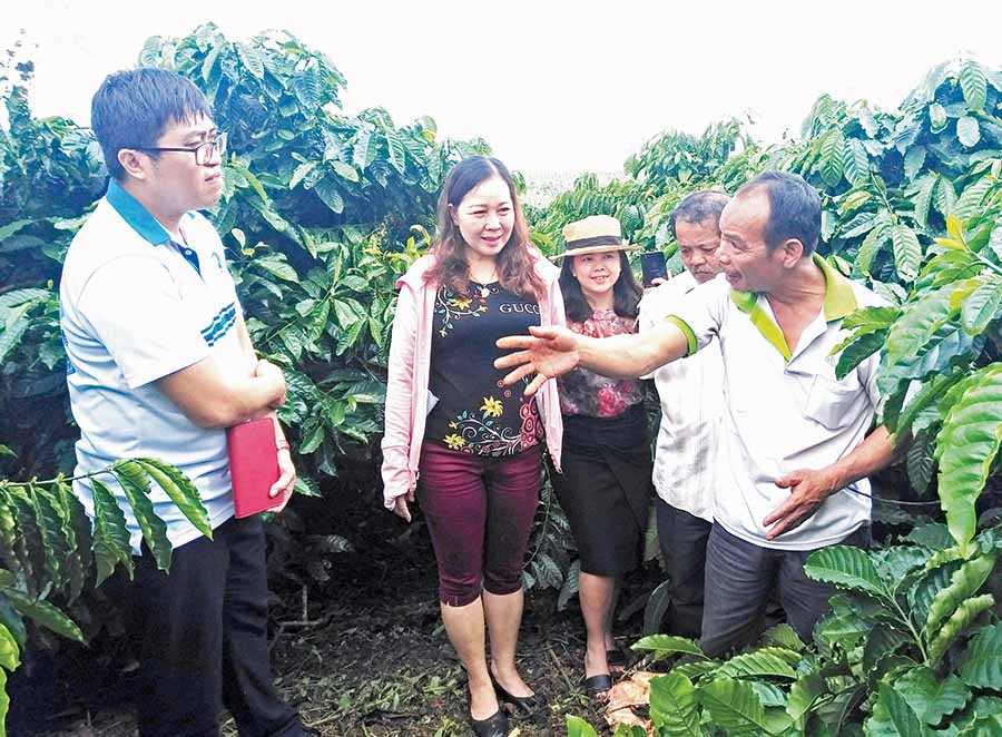 VNPT Gia Lai: Thúc đẩy chuyển đổi số ở nhiều lĩnh vực