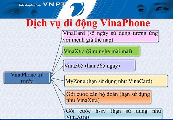 VinaPhone trả trước có rất nhiều loại SIM để khách hàng lựa chọn