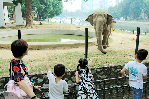 Hà Nội sắp lắp đặt thêm 14 điểm Wi-Fi công cộng miễn phí