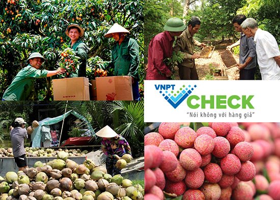 VNPT Check giải pháp hiệu quả giúp doanh nghiệp ngăn chặn hàng giả