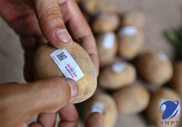 dán tem truy xuất nguồn gốc hàng hóa