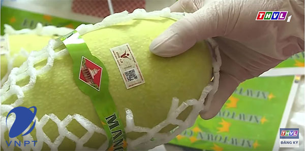 tem truy xuất nguồn gốc là gì