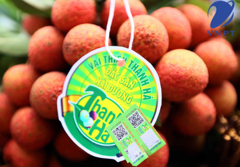 tem truy xuất nguồn gốc vnpt check