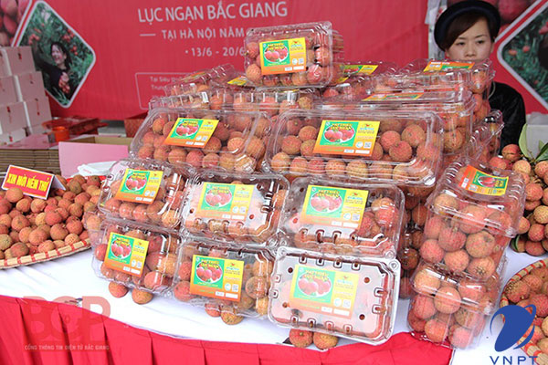 tem truy xuất nguồn gốc nông sản vnpt check