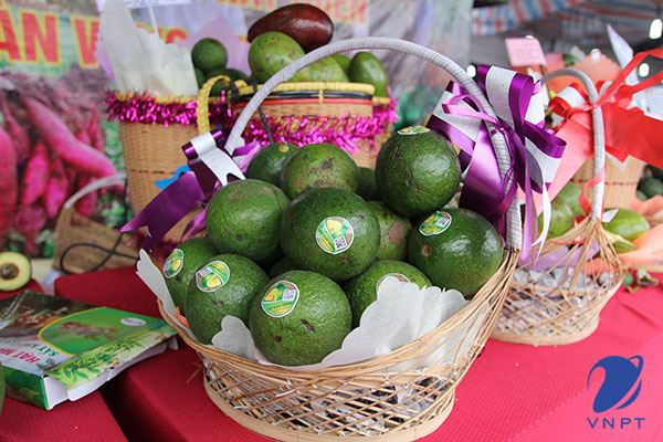 cách gắn tem truy xuất nguồn gốc nông sản vnpt check