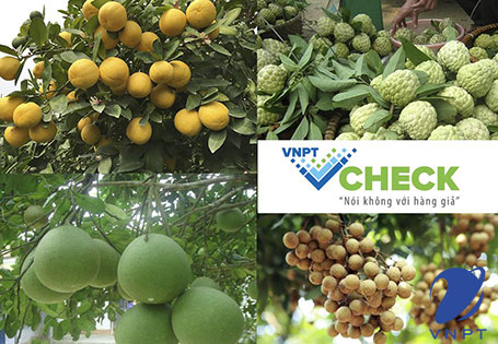 Tem truy xuất nguồn gốc nông sản VNPT - Nâng tầm nông sản Việt