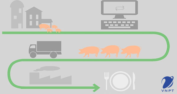 tem truy xuất nguồn gốc thịt heo