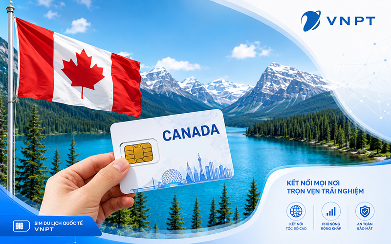Nên kiểm tra nhà mạng, vùng phủ và quyền lợi data trước khi chọn SIM Canada.