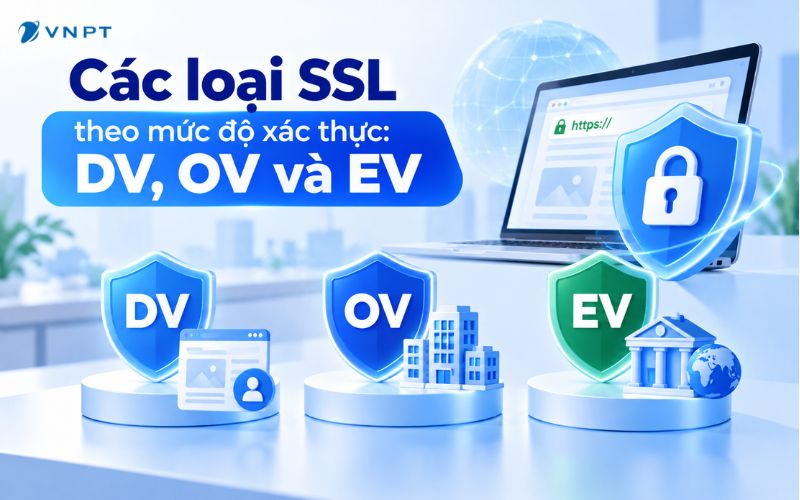 Các loại SSL theo mức độ xác thực: DV, OV và EV
