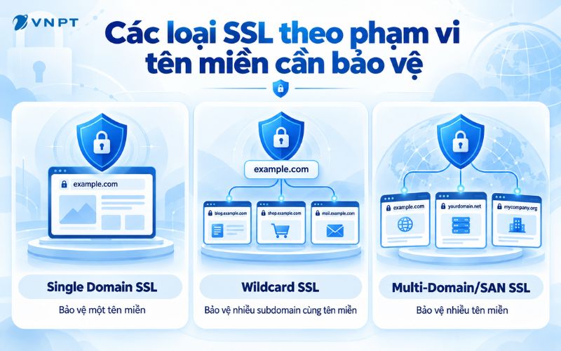 Single Domain, Wildcard và Multi-Domain khác nhau chủ yếu ở phạm vi tên miền được bảo vệ.
