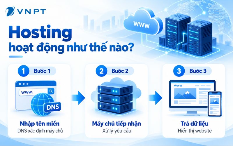 Như vậy, Hosting vừa lưu trữ và cung cấp dữ liệu website, vừa ảnh hưởng đến tốc độ tải trang và trải nghiệm của người dùng.