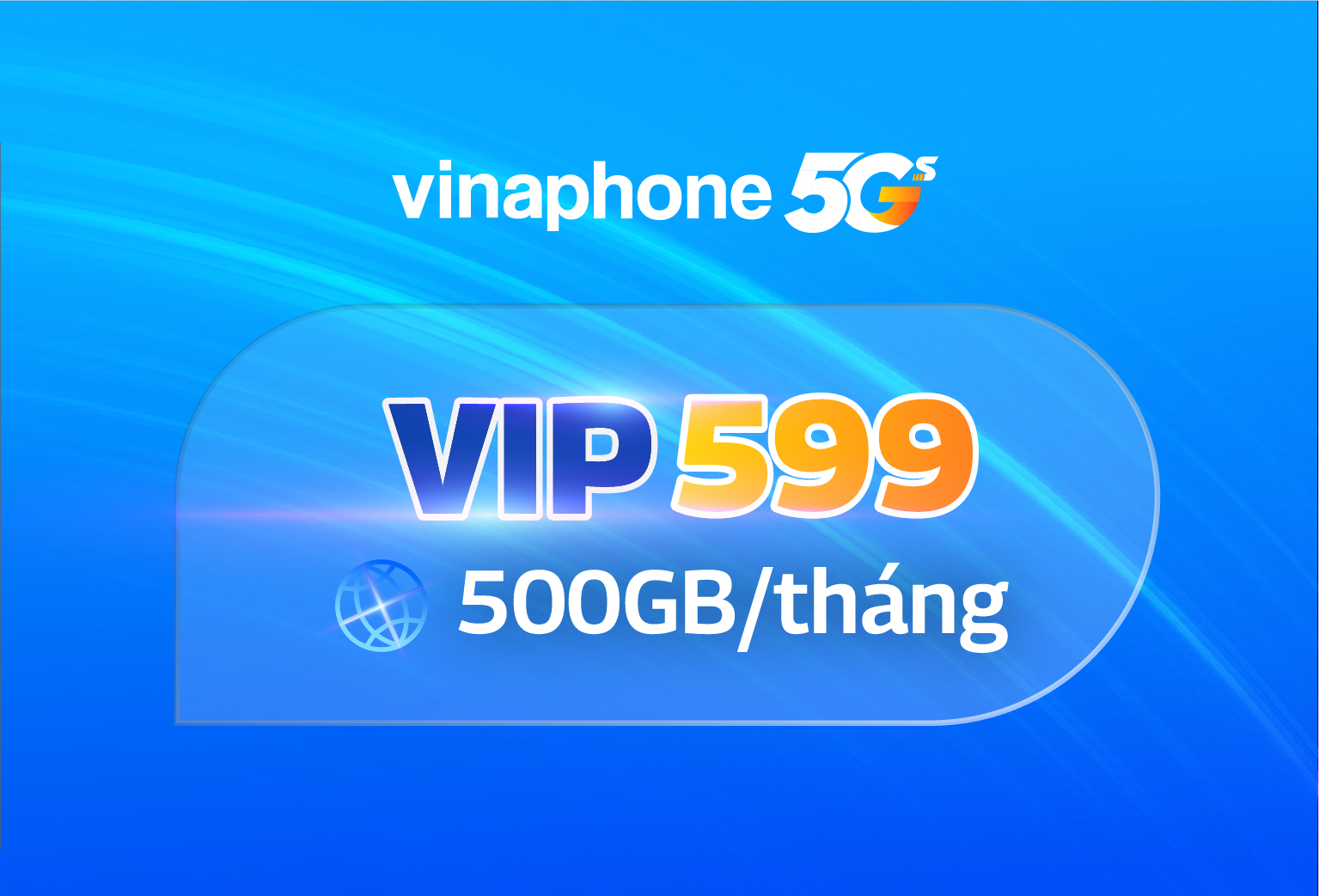 VIP599