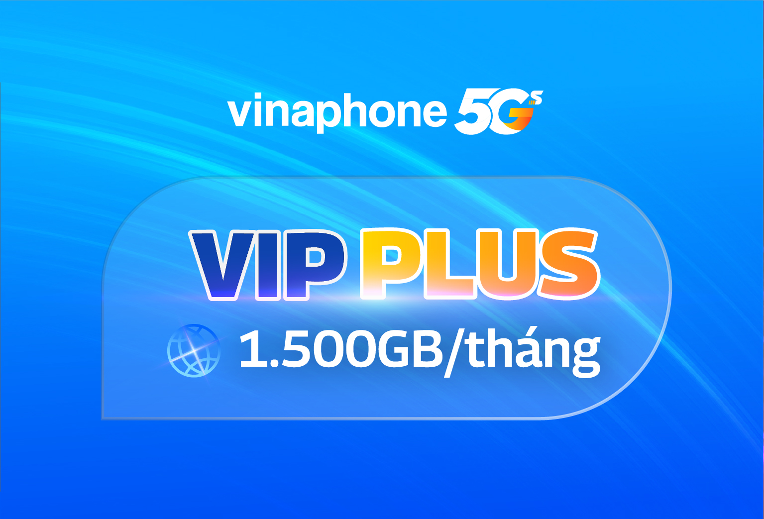 VIP PLUS