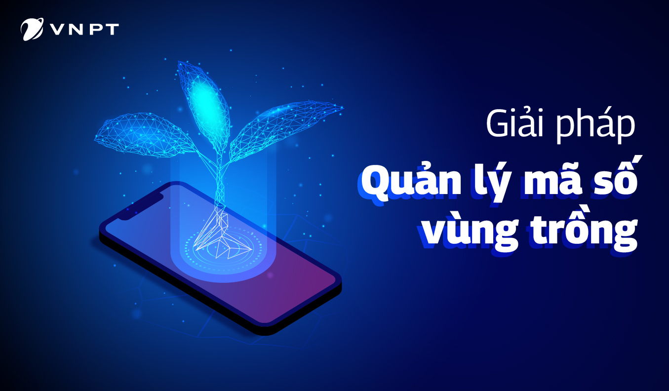 Giải pháp quản lý mã số vùng trồng