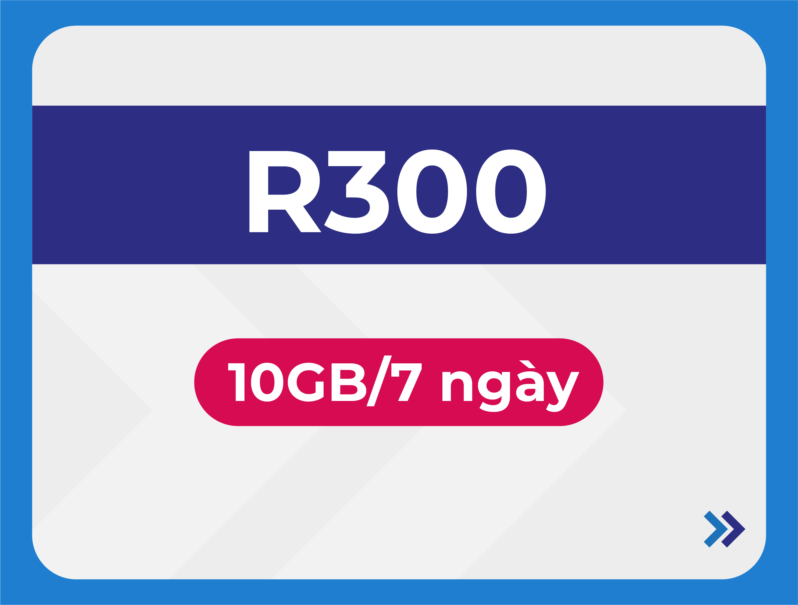 R300