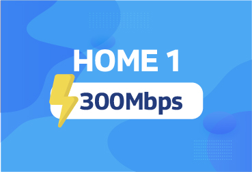 Home 1 - Mesh