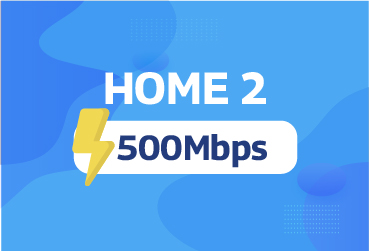 Home 2 - Mesh