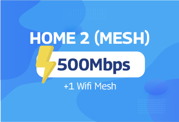 Home 2 - Mesh