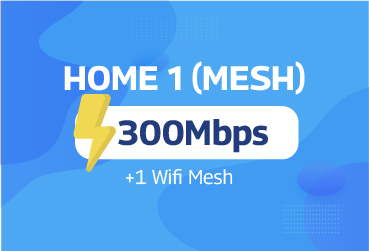Home 1 - Mesh