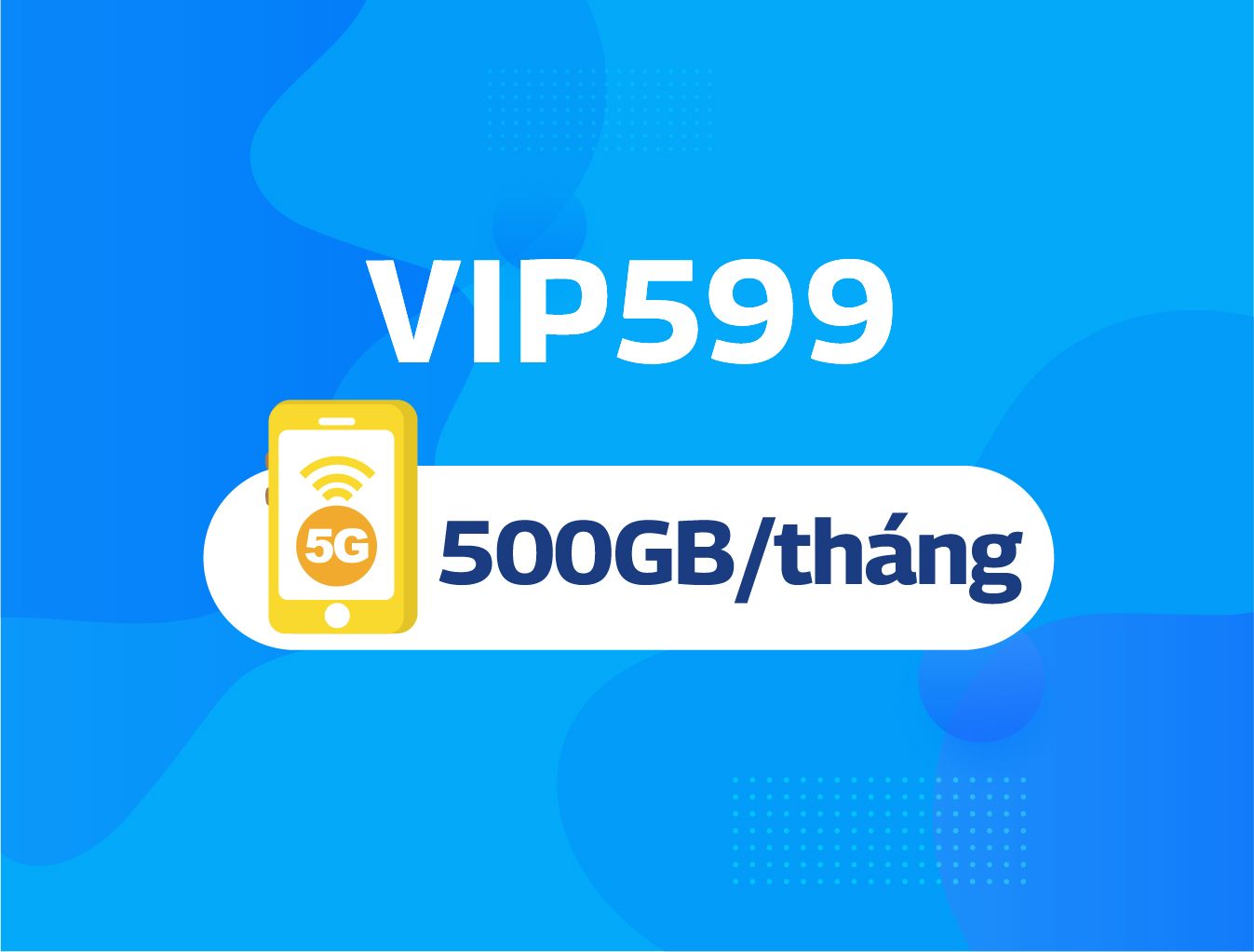 VIP599