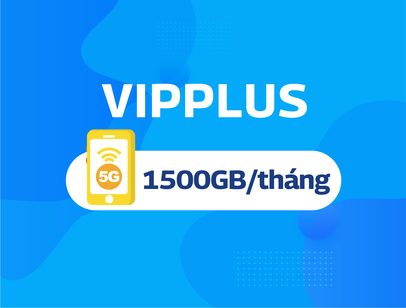 VIP PLUS