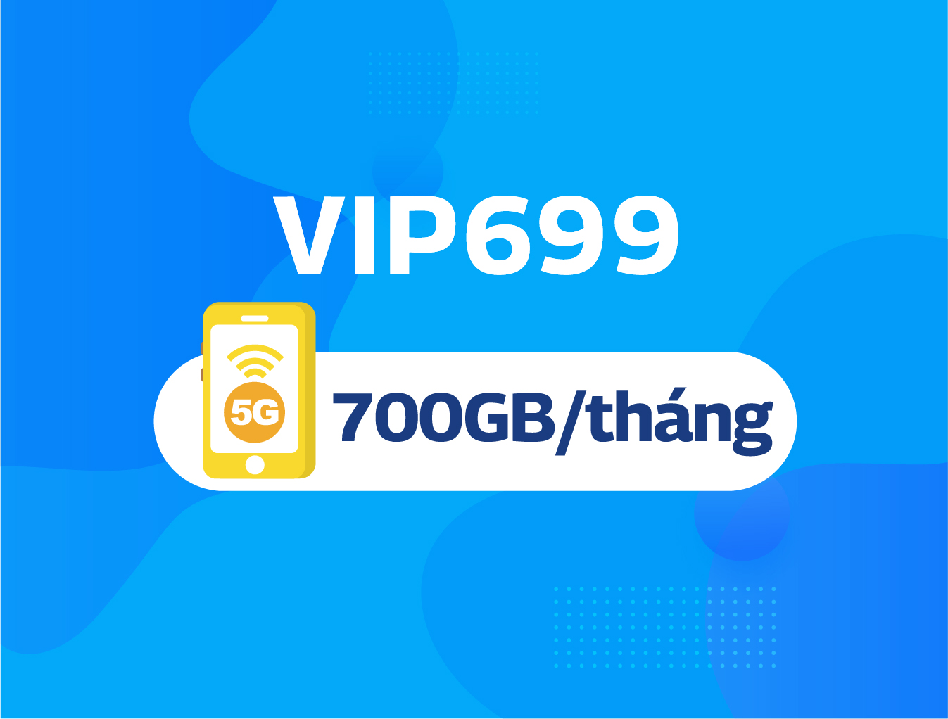VIP699