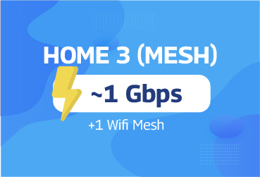 Home 3 - Mesh