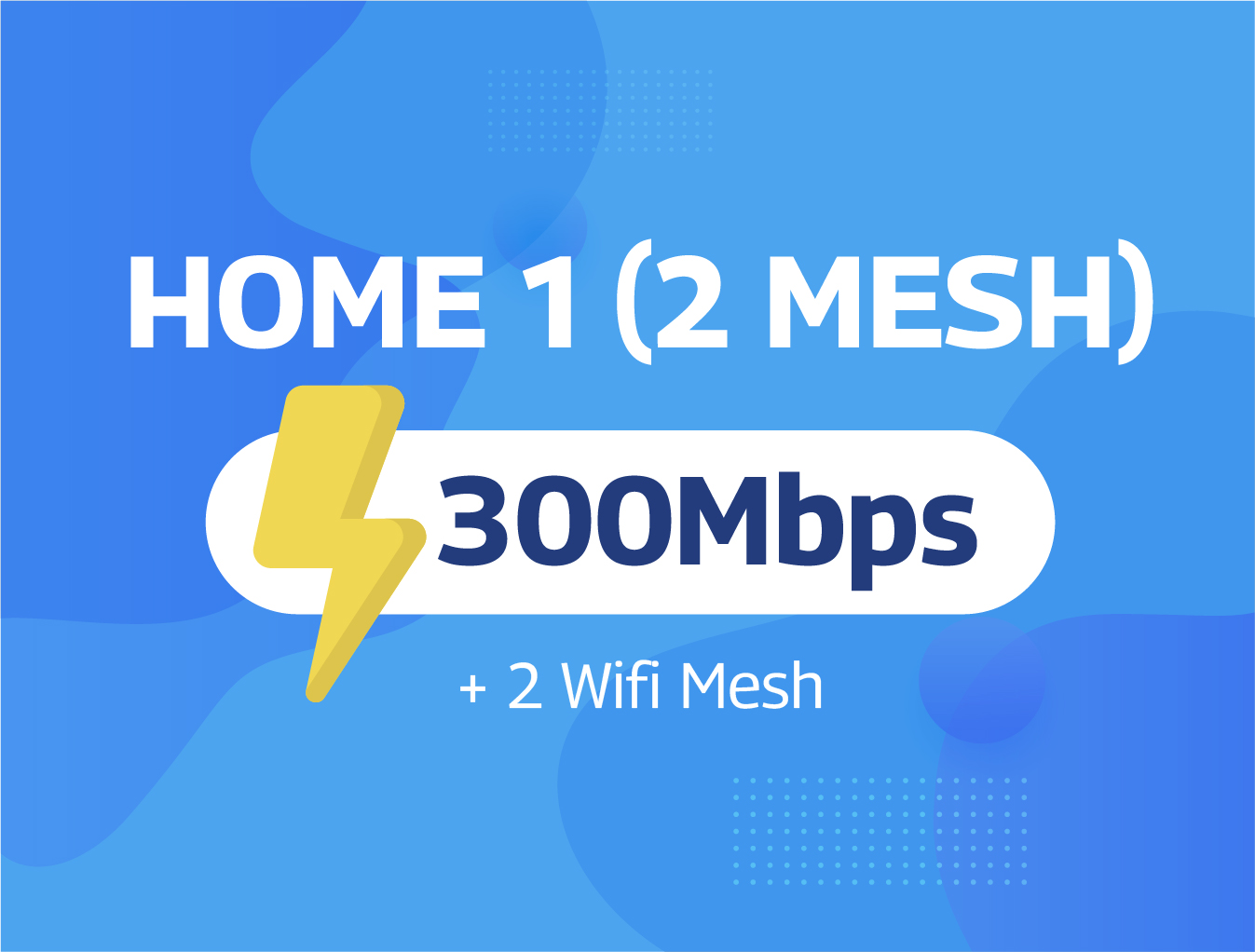 Home 1 (2 Mesh)