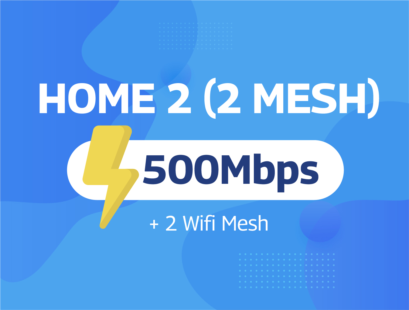 Home 2 (2 Mesh)