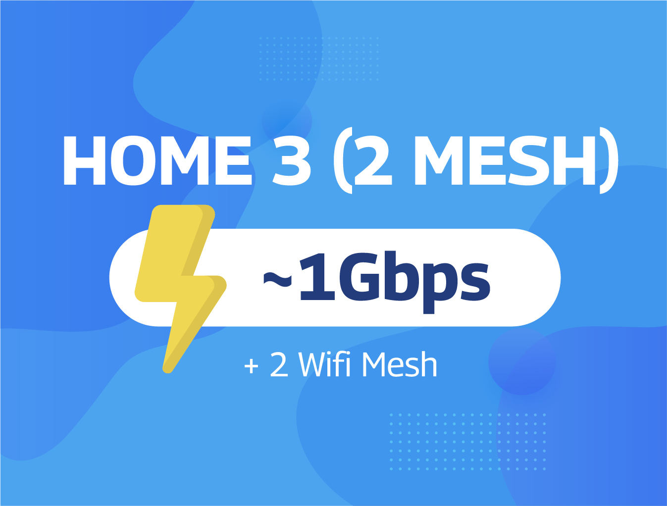 Home 3 (2 Mesh)