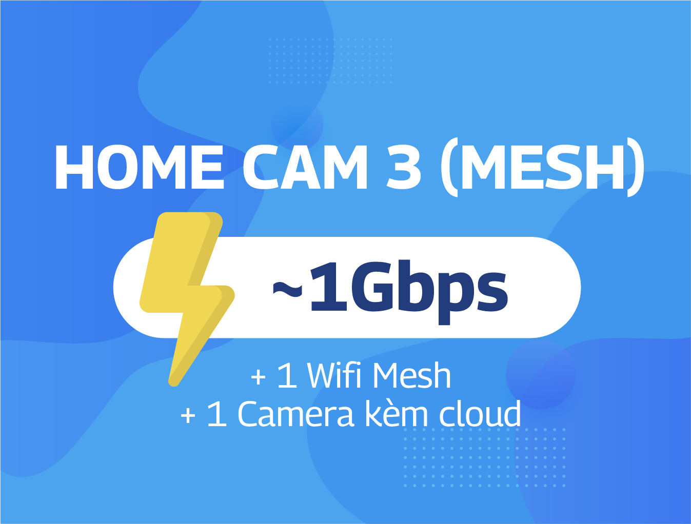 Home Cam 3 (Mesh)