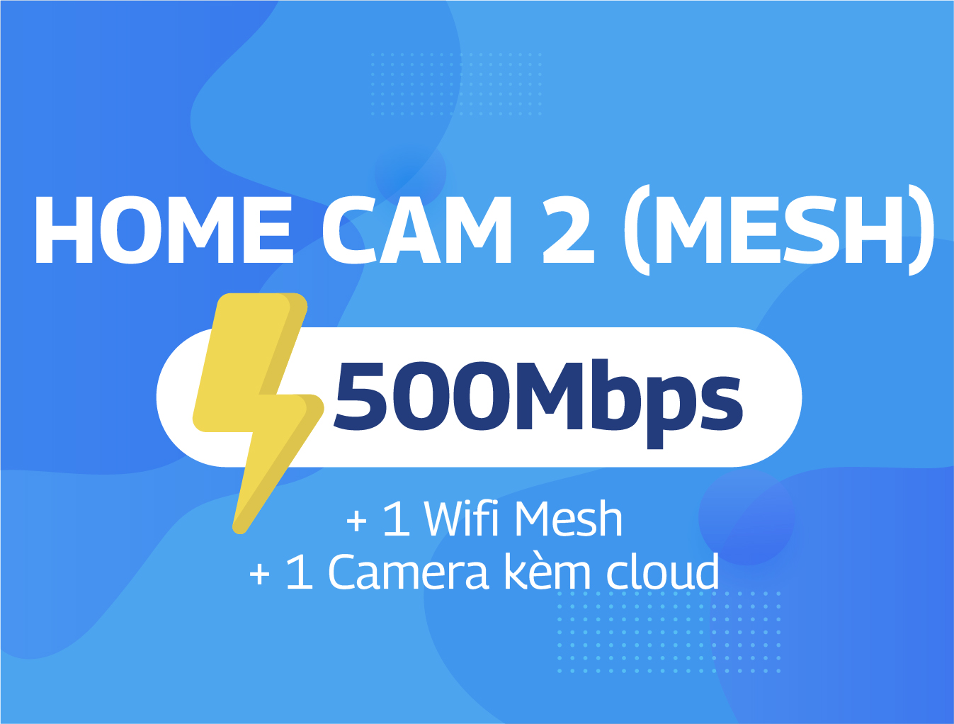 Home Cam 2 (Mesh)