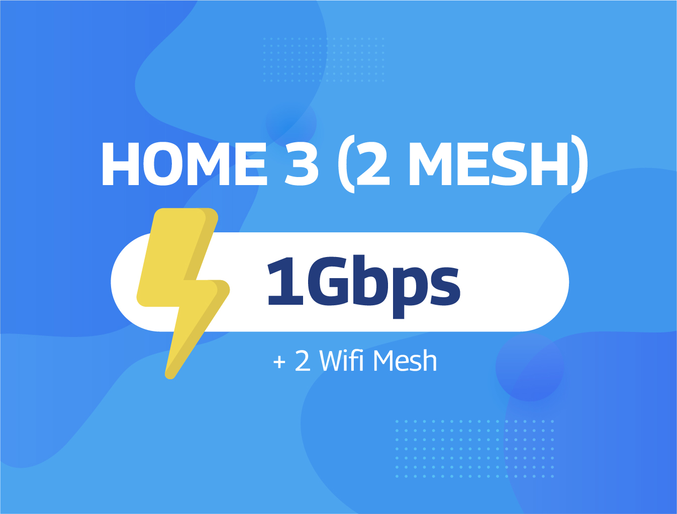 Home 3 (2 Mesh)
