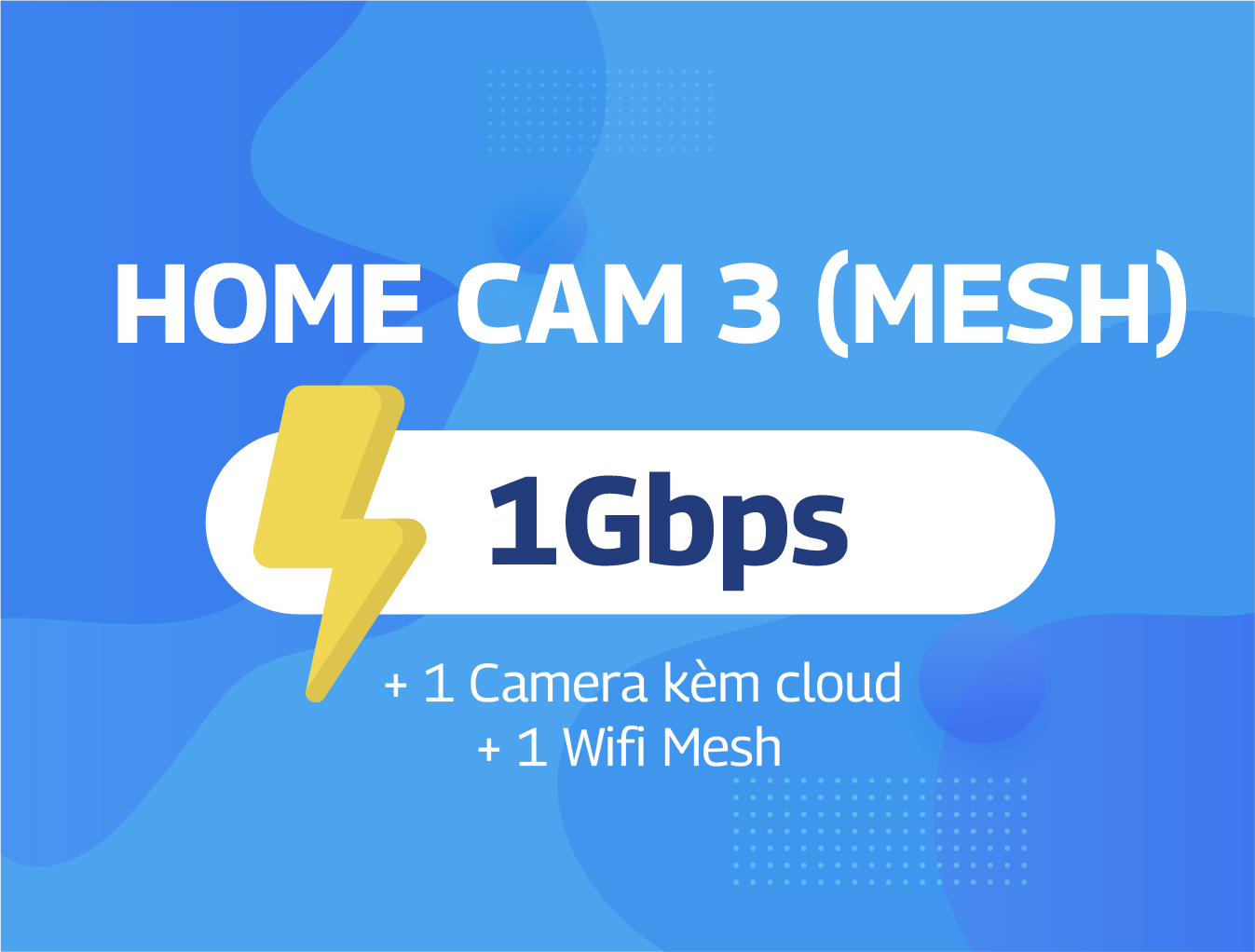 Home Cam 3 (Mesh)