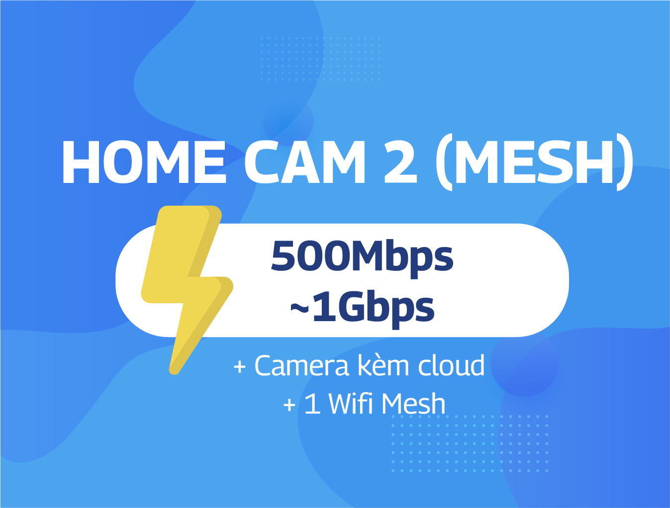Home Cam 2 (Mesh)